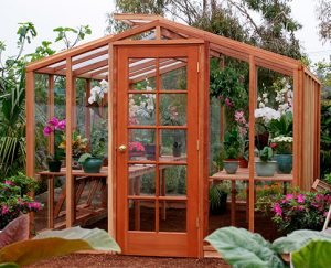 DIY greenhouse kit with California redwood framing and glass paneling.
