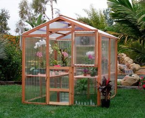 Our DIY redwood greenhouse kits are a beautiful addition to any backyard.