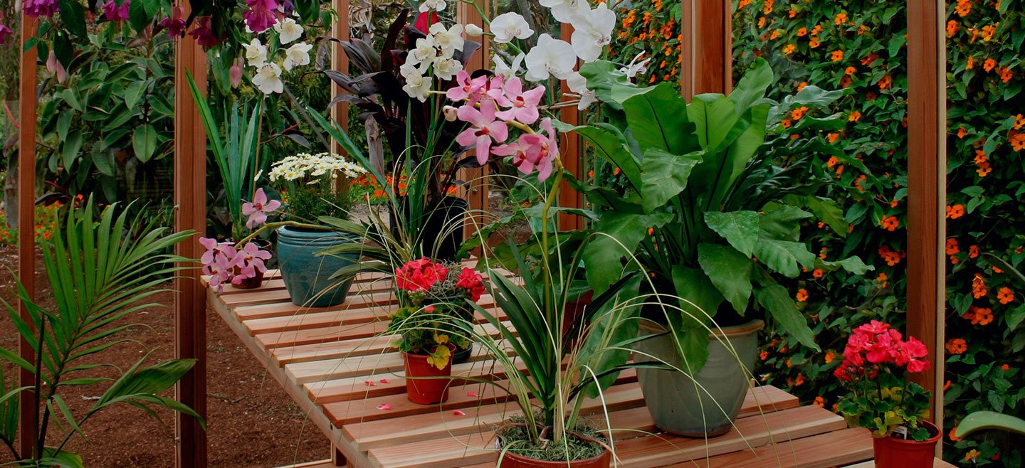 Santa Barbara Greenhouses - DIY Greenhouses for the Home ...