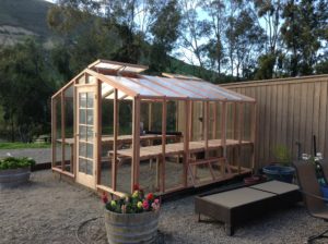 Backyard greenhouse kit with redwood frame in the process of being assembled.