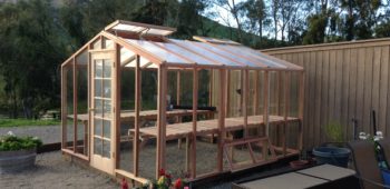 Backyard greenhouse kit with redwood frame in the process of being assembled.