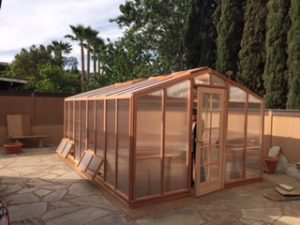 Deluxe redwood and polycarbonate greenhouse kit on backyard patio.