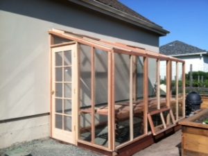 Redwood lean-to greenhouses are ideal for small backyards.