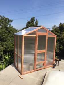 Freestanding redwood greenhouse on backyard patio.