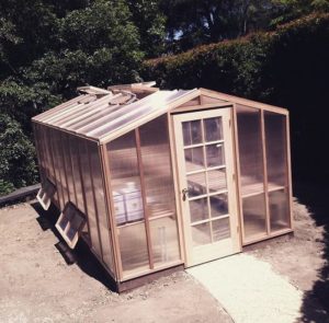 DIY redwood greenhouse kit in a new backyard.