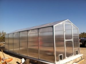 Large polycarbonate greenhouse kit with aluminum framing.