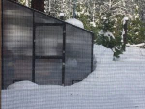 Aluminum and polycarbonate lean-to greenhouse kit in the snow.