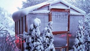 Our redwood climate controlled greenhouse kits are perfect for gardening in the snow.