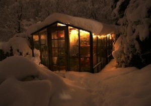 Climate controlled greenhouse with redwood framing in the snow at night.