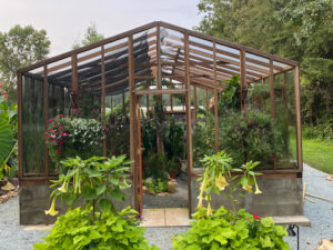 redwood greenhouse