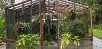 redwood greenhouse