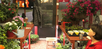 inside cozy greenhouse with woman in chair